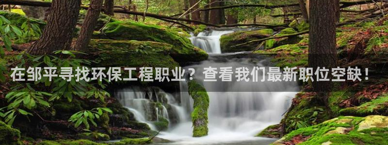 彩名堂移动客户端是什么：在邹平寻找环