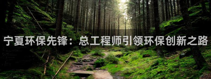 彩名堂预测软件与分析：宁夏环保先锋：