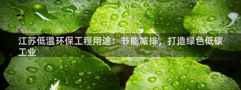 彩名堂彩：江苏低温环保工程用途：节能