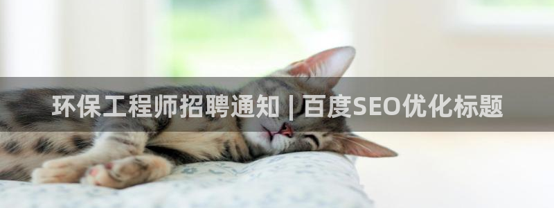 彩名堂网页：环保工程师招聘通知 | 