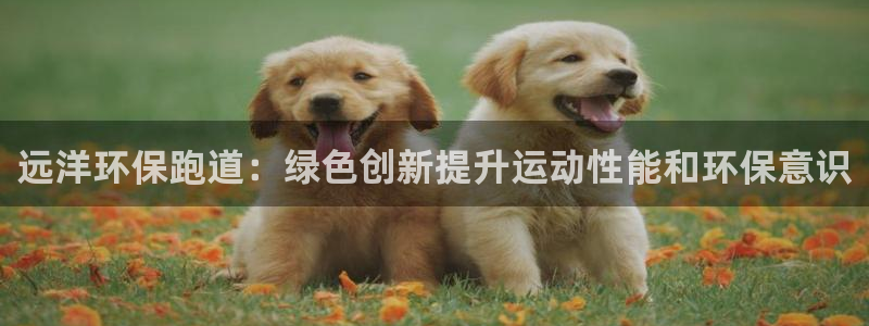 彩名堂安卓客户端官网下载安装：远洋环