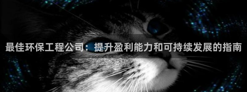 彩名堂是不是坑人的东西：最佳环保工程公司：提升盈利能力和可持续发展的指南