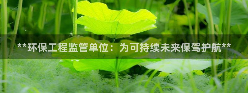 彩名堂还能用吗：**环保工程监管单位