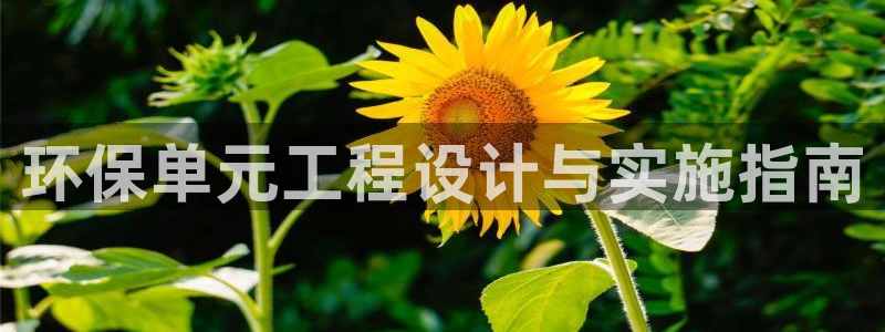 彩名堂计划怎么看：环保单元工程设计与