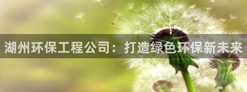 彩名堂计划怎么出的：湖州环保工程公司