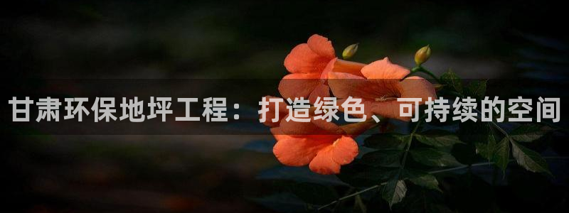 彩名堂计划软件下载：甘肃环保地坪工程