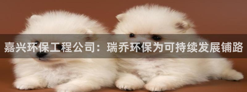 彩名堂免费计划官网5.0版下载链接：
