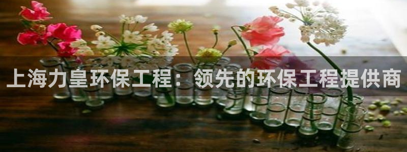 彩名堂使用方法和用量：上海力皇环保工