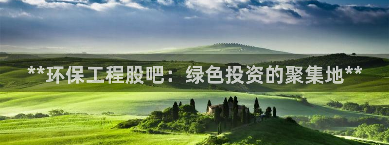 老版本彩名堂计划软件：**环保工程股