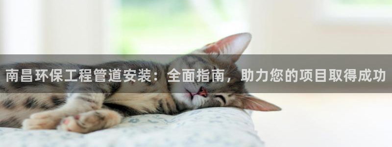 彩名堂免费计划官网5.0版下载链接：