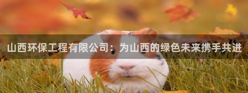 下载彩名堂预测计划软件安卓：山西环保