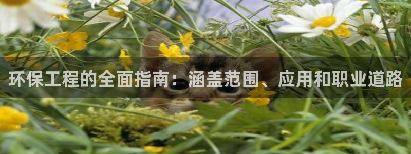 彩名堂.netnet：环保工程的全面