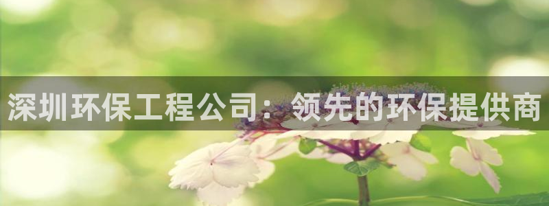 彩名堂5.0计划永久免费版为什么下不