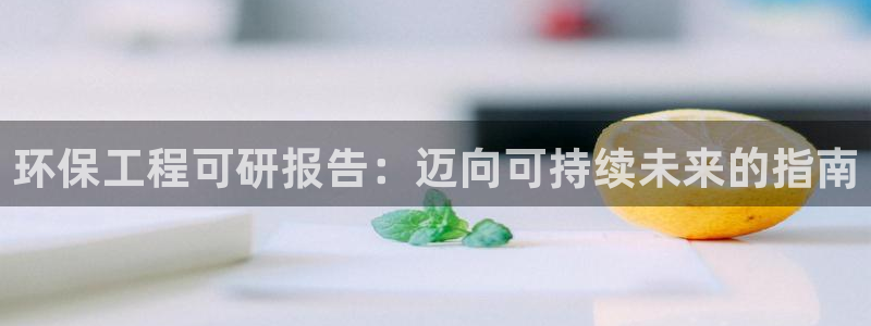 彩名堂计划技巧：环保工程可研报告：迈