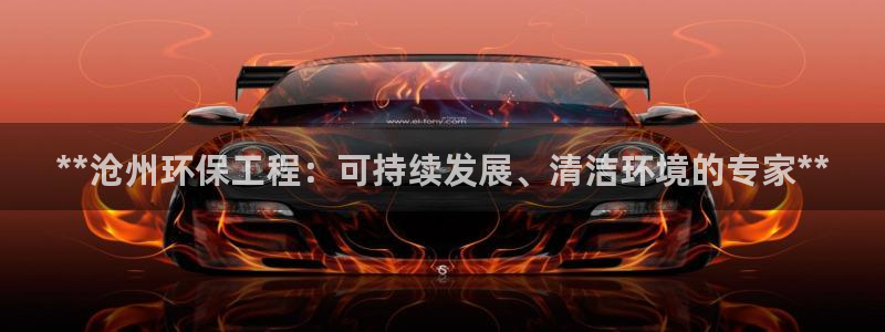 彩名堂是什么：**沧州环保工程：可持