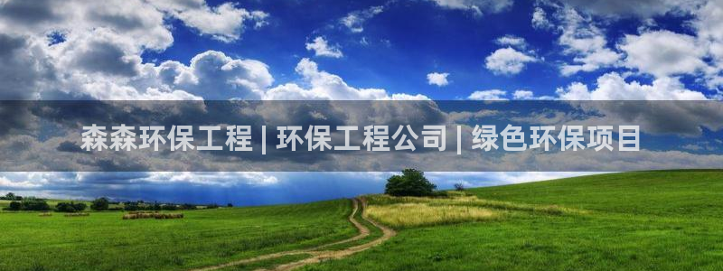 彩名堂人工预测免费计划：森森环保工程