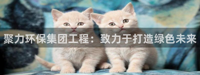 彩名堂计划怎么看：聚力环保集团工程：