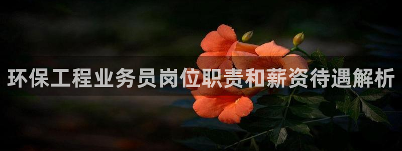 彩名堂计划app新版：环保工程业务员