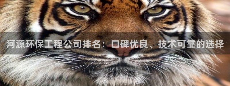 彩名堂预测软件与分析：河源环保工程公