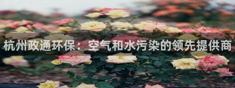 彩名堂计划怎么买胜率高：杭州政通环保