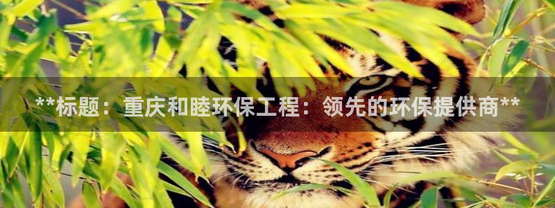 彩名堂为啥又不能用了：**标题：重庆
