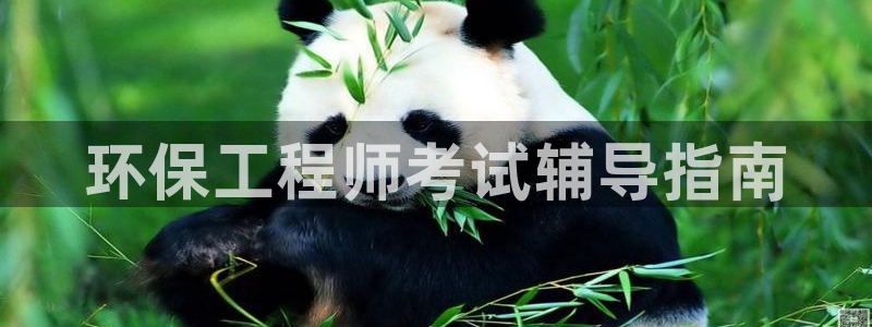 彩名堂一直不出结果怎么回事：环保工程