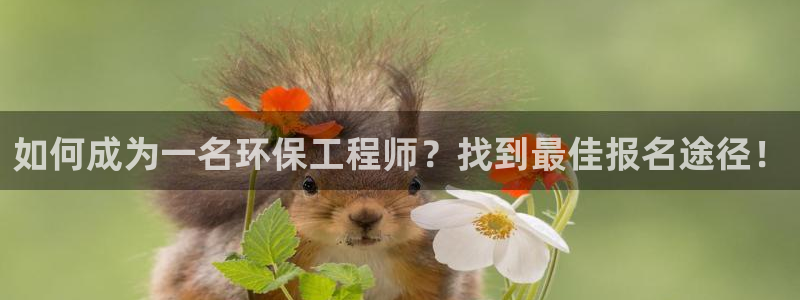 彩名堂官网：如何成为一名环保工程师？