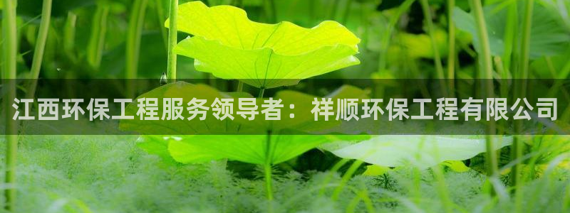彩名堂计划怎么跟不挂：江西环保工程服