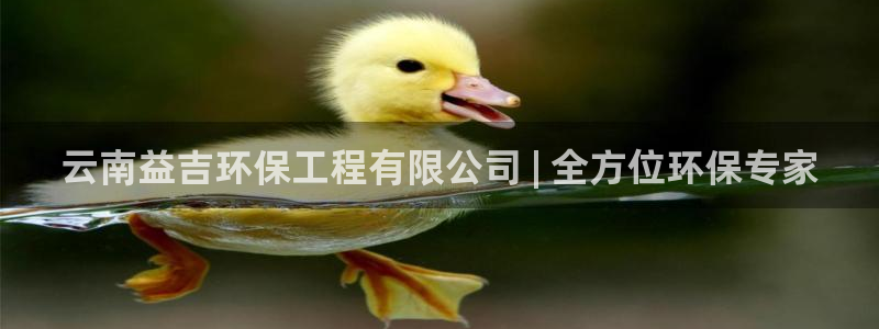 彩名堂移动客户端怎么下载：云南益吉环