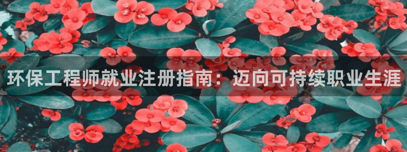彩名堂官方软件下载：环保工程师就业注