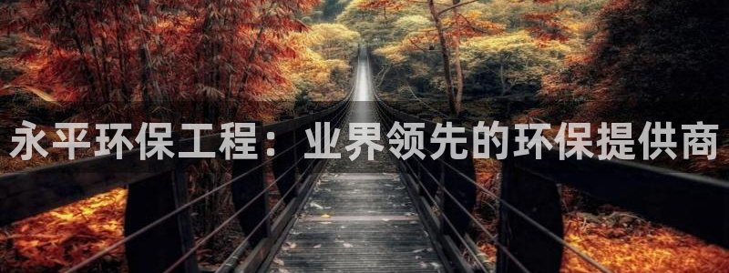 彩名堂是不是不能用了吗：永平环保工程：业界领先的环保提供商