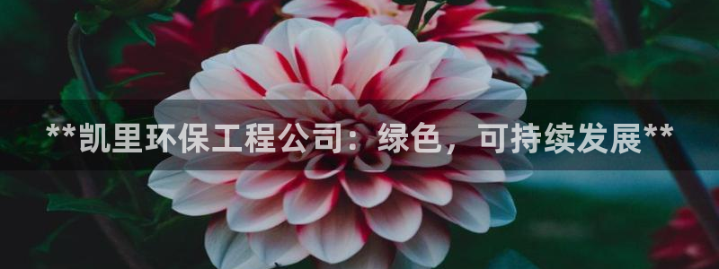 彩名堂怎么跟计划才不连挂呢：**凯里