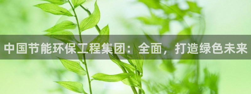 彩名堂计划怎么出的：中国节能环保工程