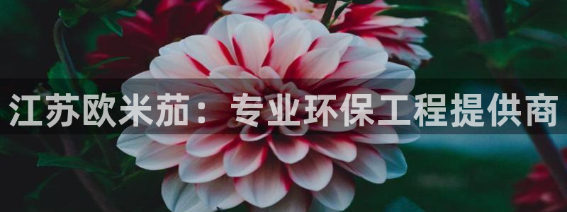 彩名堂还能用吗：江苏欧米茄：专业环保