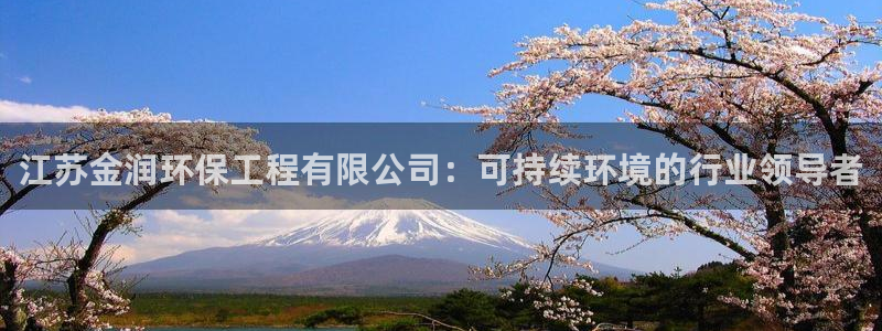 彩名堂怎么选稳定计划产品：江苏金润环